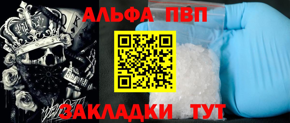 A PVP СК КРИС Людиново